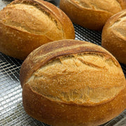 Sourdough Bread