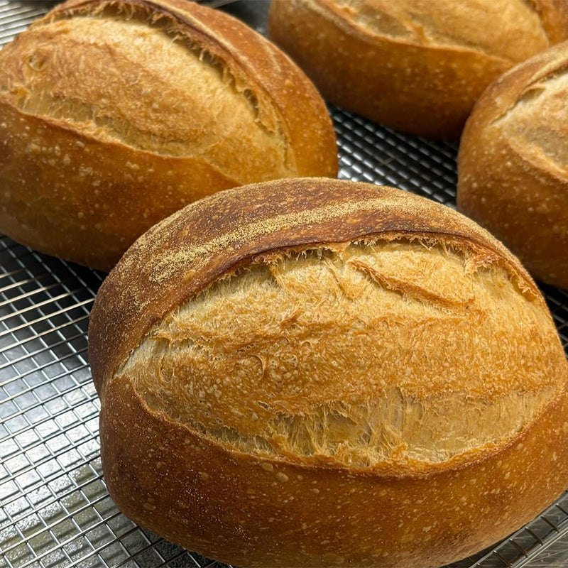 Sourdough Bread